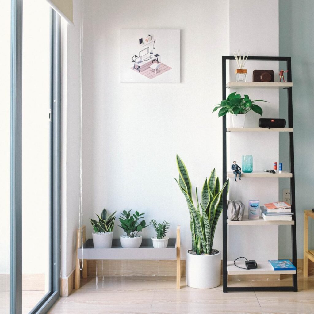 low maintenance snake plant pothos for apartment decor